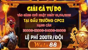 Thông Báo Giải Gà Tự Do Tại CPC2 Ngày 01/06/2025