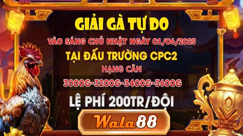 Thông Báo Giải Gà Tự Do Tại CPC2 Ngày 01/06/2025