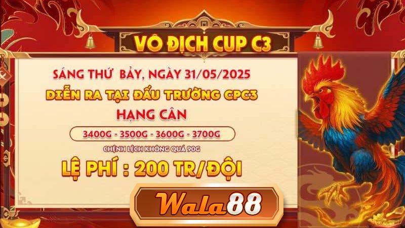 Thông Báo Giải Vô Địch Cup C3 Ngày 31/05/2025