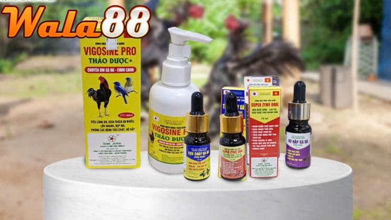 Dùng thuốc nhỏ gà đá sẽ có hiệu quả tức thì và nhanh gọn