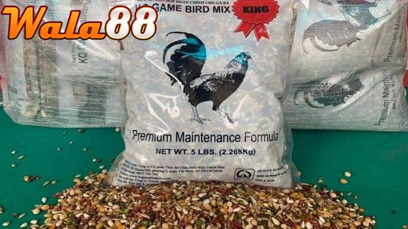 Ngũ cốc gà đá giúp hỗ trợ gà phát triển và hỗ trợ tiêu hóa tốt hơn