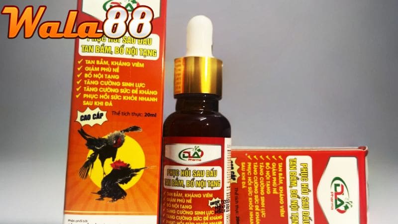 Thuốc hồi phục nhanh cho gà đá một cách hiệu quả