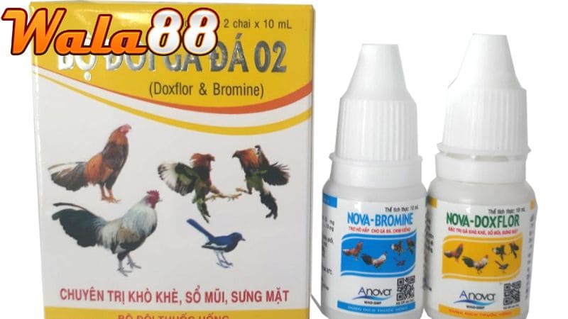 Thuốc nhỏ mũi sát trùng dùng cho gà đá