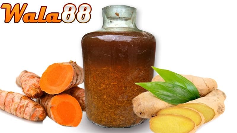 Rượu bóp gà chọi sẽ giúp gà lưu thông máu tốt hơn