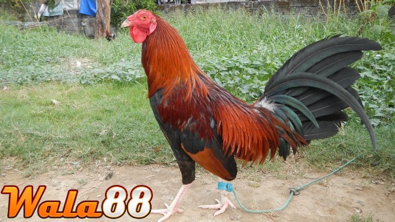 Việc ghi nhớ chính xác vị trí và mức độ chấn thương sẽ giúp xử lý nhanh chóng và đúng cách.