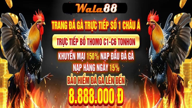 Khuyến mãi đá gà cực hấp dẫn